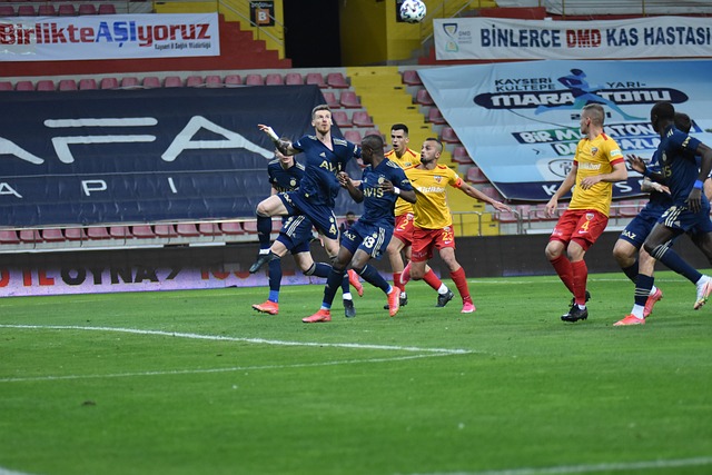 赖特公开表 赖特公开表