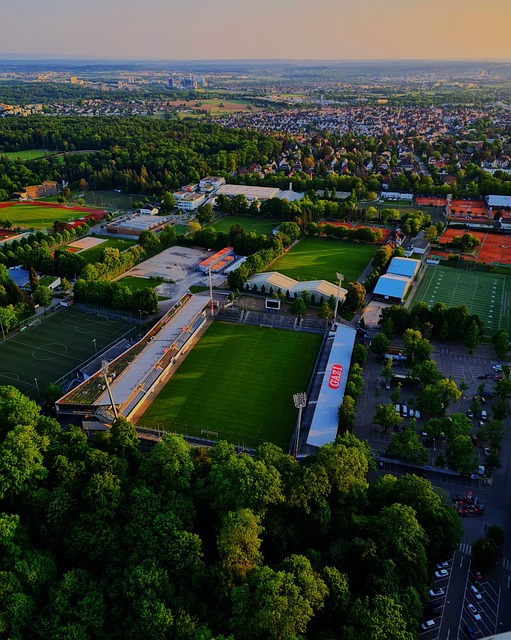 随着国内铜 随着国内铜