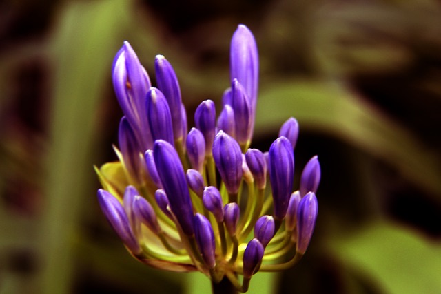 直接影響比 直接影響比