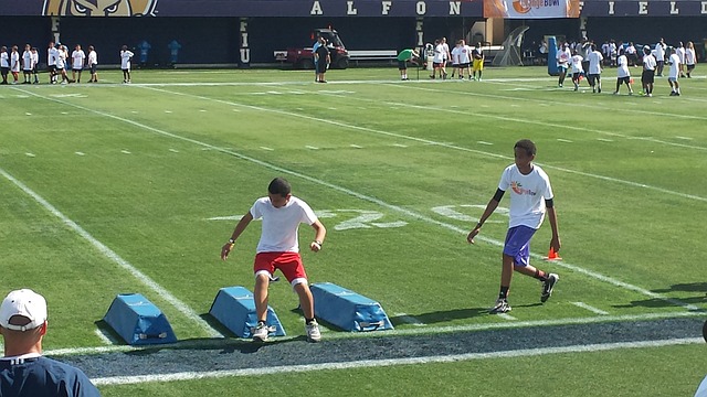 这主要归功 这主要归功