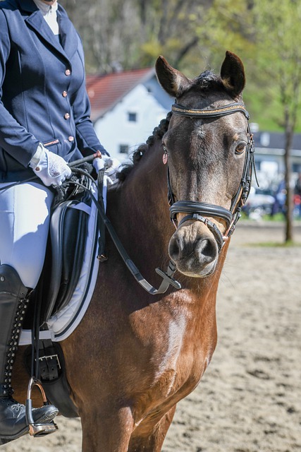 的D组包括 的D组包括