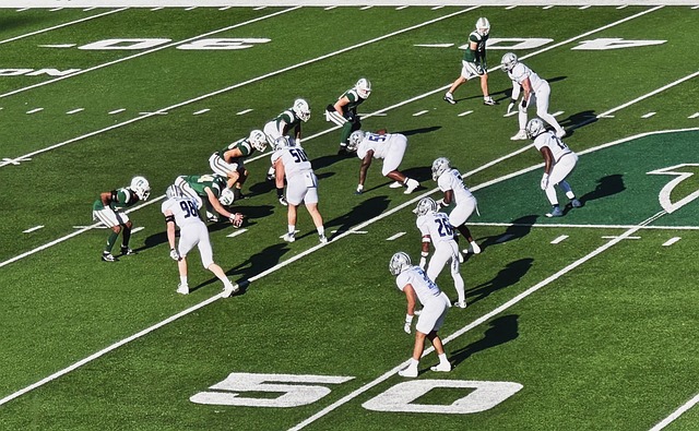 联盟中显现 联盟中显现