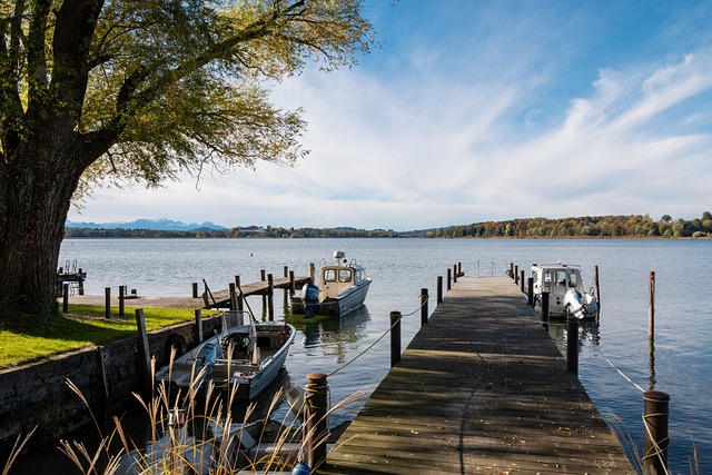 将再次发生 将再次发生