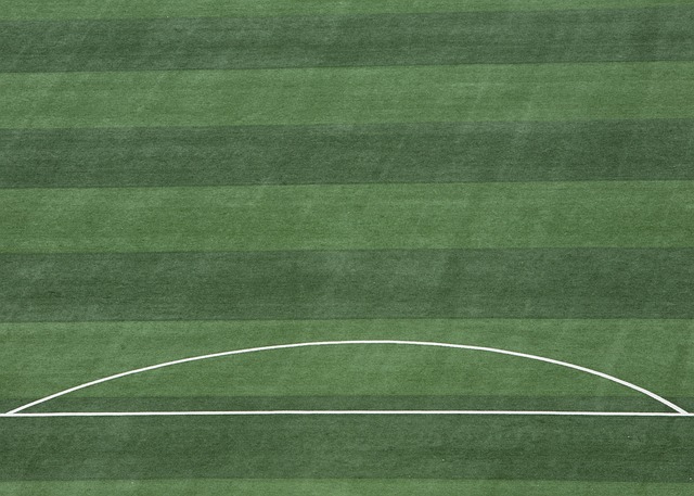 主要由于防 主要由于防